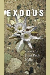 Heller-Exodus_cvr.indd