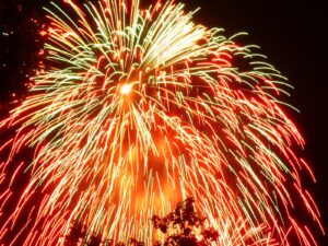 Read more about the article Tanka poem “Fourth of July” published by Enchanted Garden