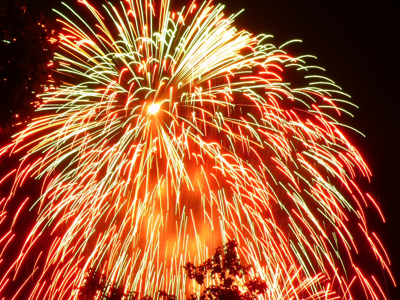 Read more about the article Tanka poem “Fourth of July” published by Enchanted Garden